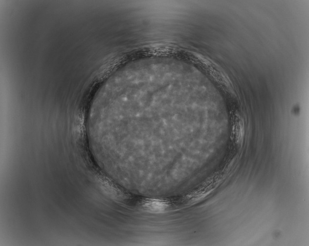 X0000116850610201001121221