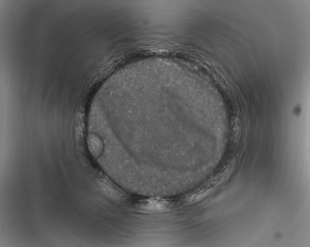 X0000116850612201001121221