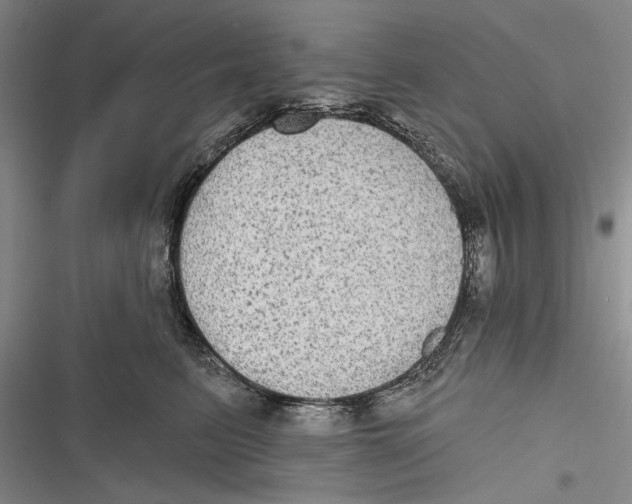 X0000116850615201001121221