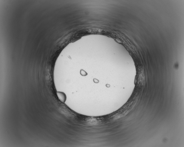 X0000116850616201001121221