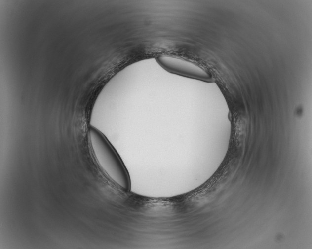 X0000116850617201001121221
