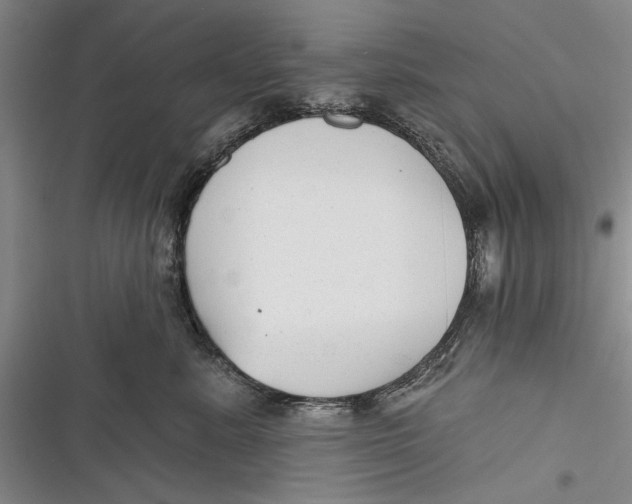 X0000116850619201001121221