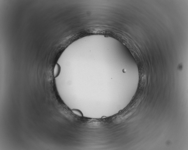 X0000116850620201001121221