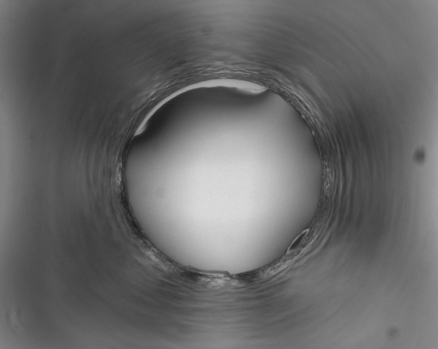 X0000116850621201001121221