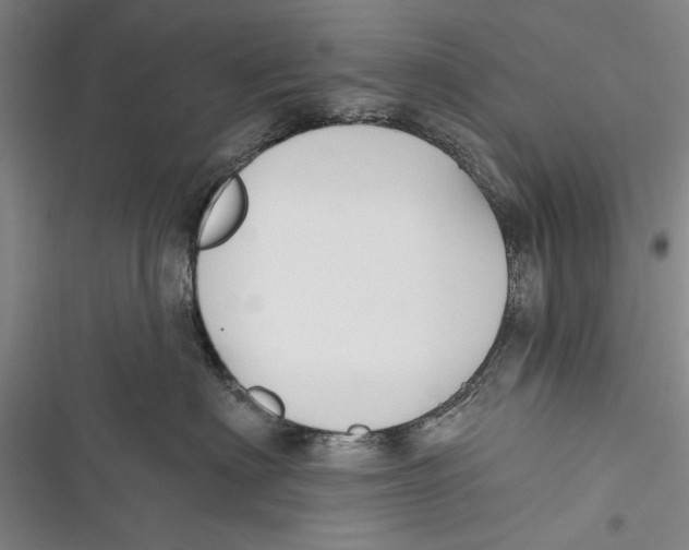 X0000116850622201001121221