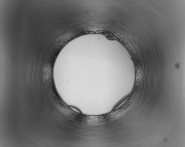 X0000116850623201001121221
