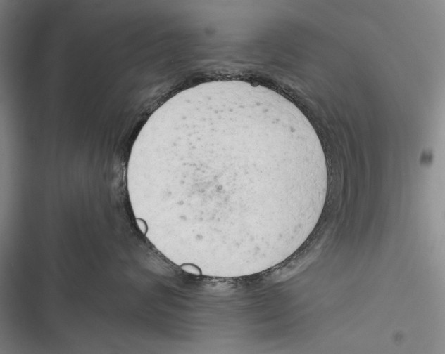 X0000116850624201001121221