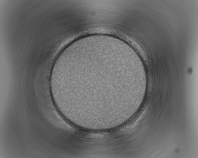 X0000116850625201001121220