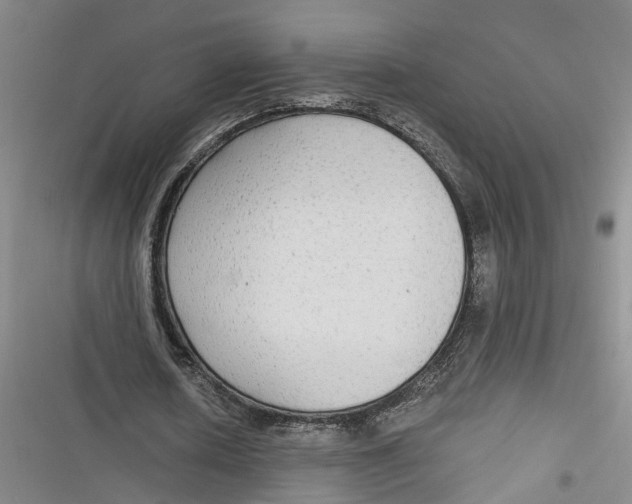 X0000116850626201001121220