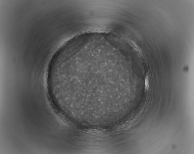 X0000116850627201001121220