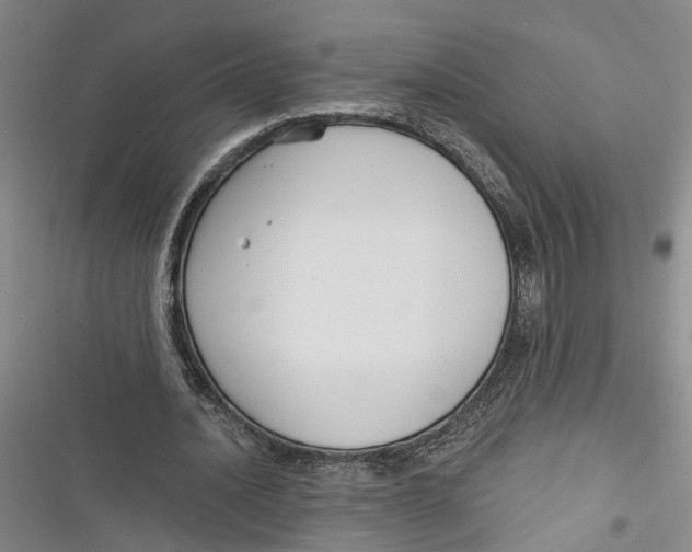 X0000116850628201001121220