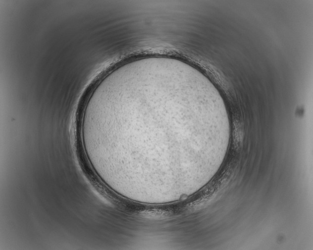 X0000116850630201001121220