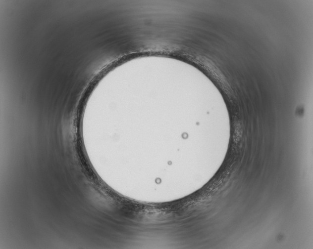 X0000116850632201001121220