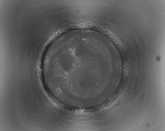 X0000116850634201001121220