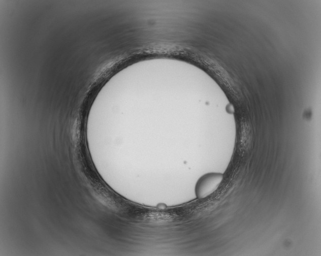 X0000116850636201001121220
