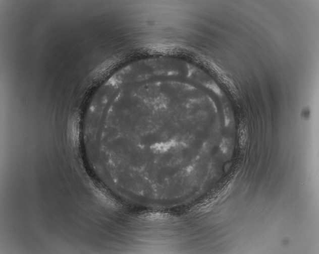 X0000116850637201001121220