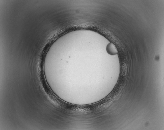X0000116850638201001121220