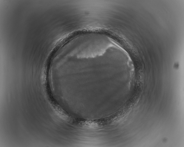 X0000116850640201001121220