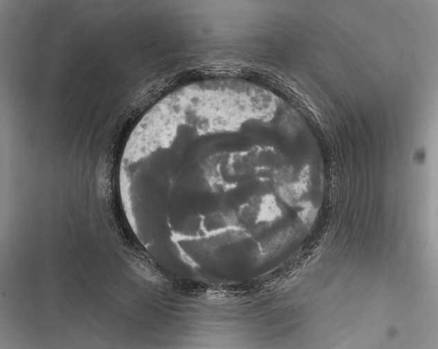 X0000116850641201001121221