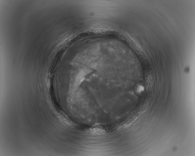 X0000116850644201001121221