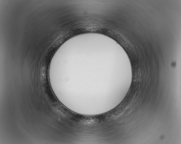 X0000116850646201001121221