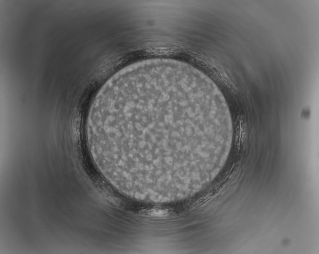 X0000116850647201001121221