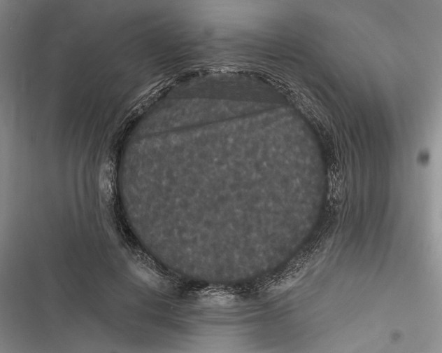 X0000116850648201001121221