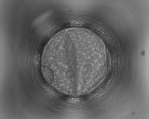 X0000116850649201001121221