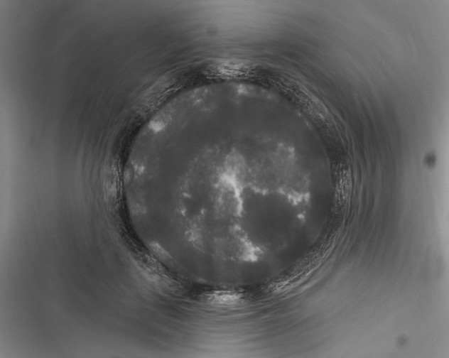 X0000116850651201001121221