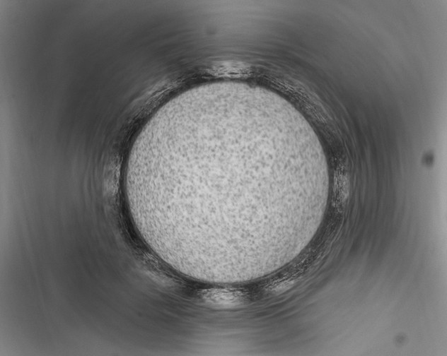 X0000116850652201001121221