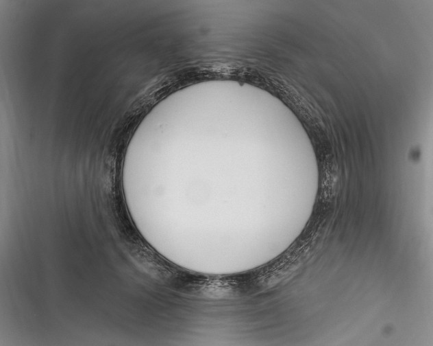 X0000116850656201001121221