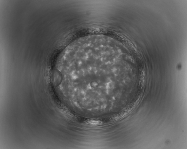 X0000116850659201001121221
