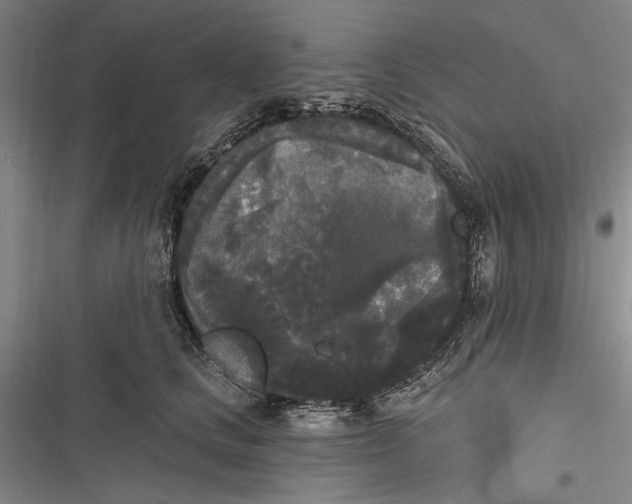 X0000116850661201001121221