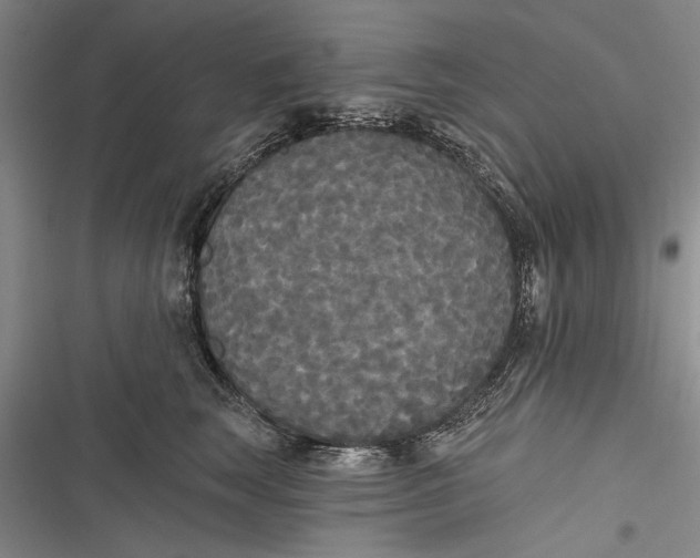 X0000116850663201001121221