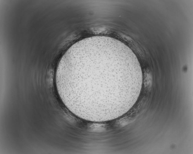 X0000116850664201001121221