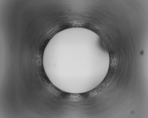 X0000116850666201001121221