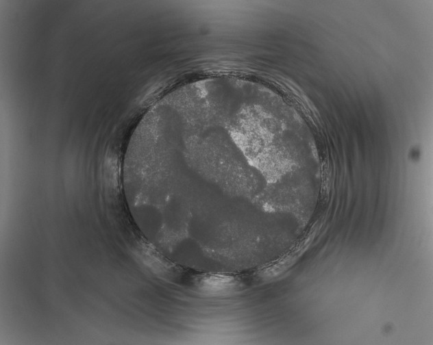 X0000116850669201001121221
