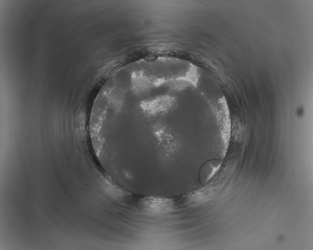 X0000116850670201001121221