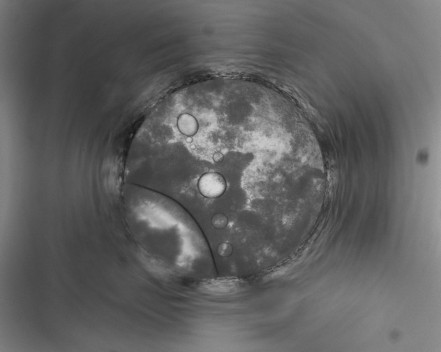 X0000116850671201001121221