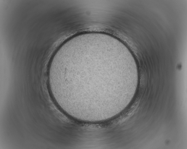 X0000116850673201001121220