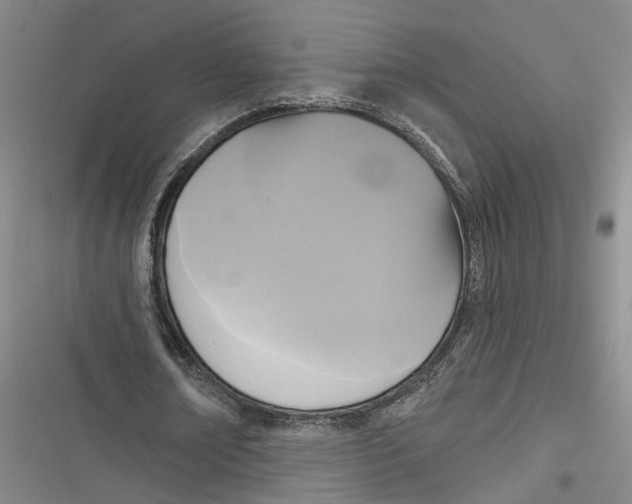 X0000116850674201001121220