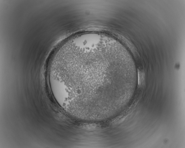X0000116850675201001121220