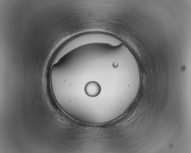 X0000116850676201001121220