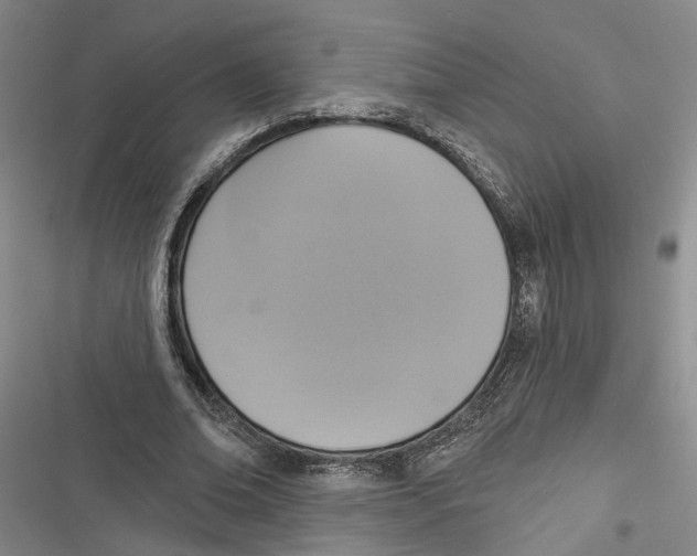 X0000116850678201001121220