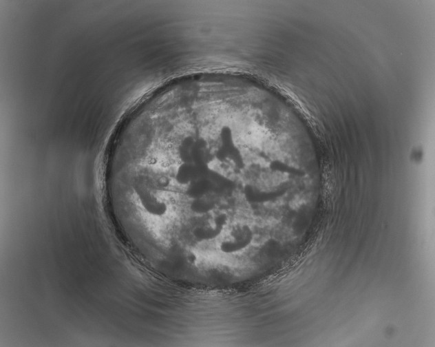 X0000116850679201001121220