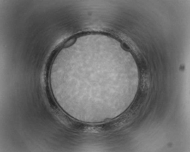 X0000116850680201001121220