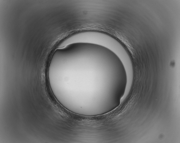 X0000116850681201001121220