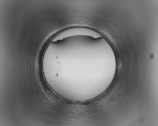 X0000116850684201001121220