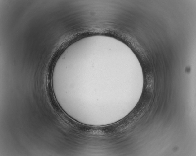 X0000116850685201001121220