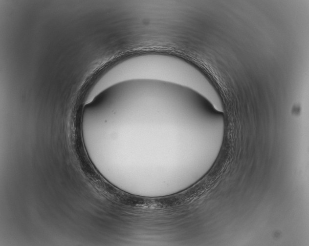 X0000116850688201001121220